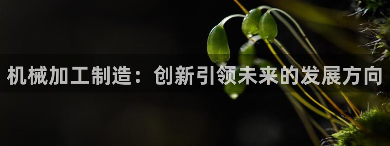 彩名堂最新免费计划官网