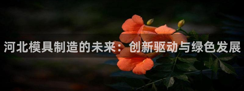 彩名堂和01计划哪个好