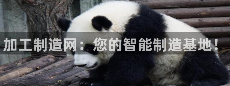彩名堂怎么买准确率高