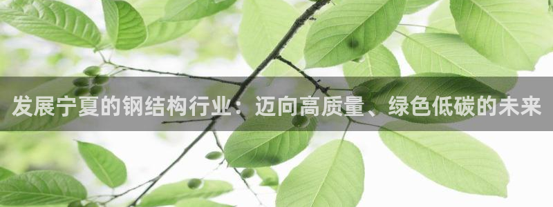 彩名堂5.0版计划怎么用不了