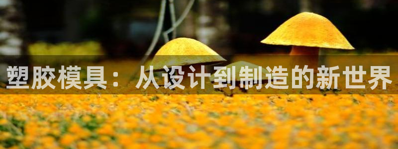 彩名堂官网计划怎么下载到手机