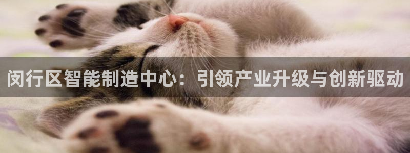 彩名堂最新预测3d