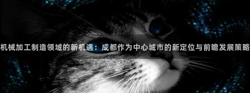 彩名堂5.0计划