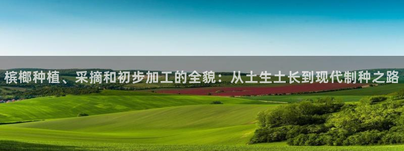 彩名堂免费计划客户端官网