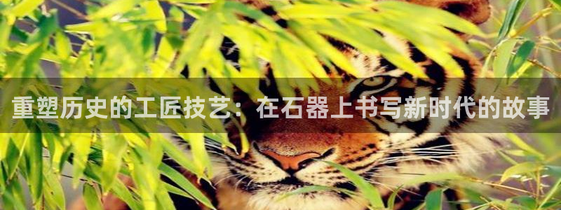 彩名堂图片