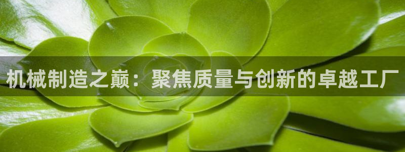 彩名堂怎么跟计划才不连挂呢