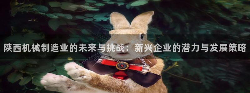 彩名堂计划怎么跟不挂