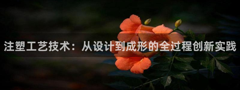 彩名堂改成什么名字了