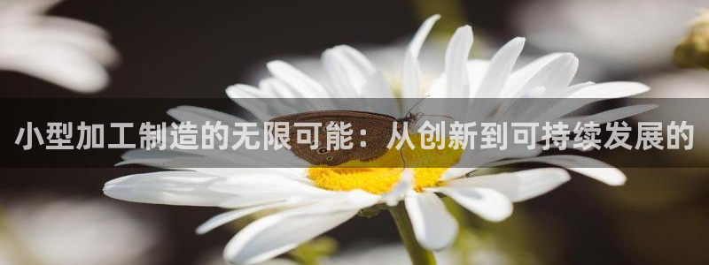 彩名堂官网计划怎么下载到手机