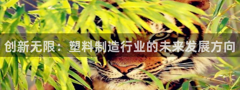 彩名堂官网2